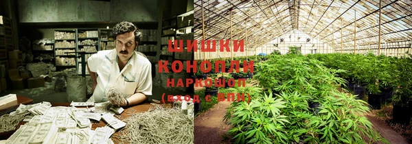 соль ск Нефтегорск