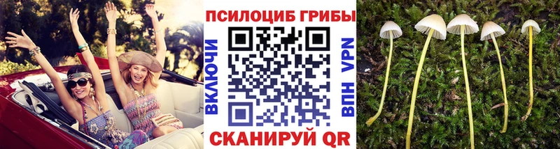 Галлюциногенные грибы мицелий  Купить где  Княгинино 